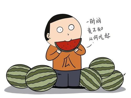 娱乐吃瓜酱英文